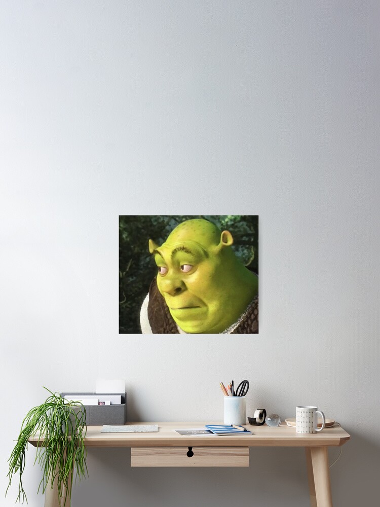 Shrek meme Photographic Print for Sale by Doflamingo99