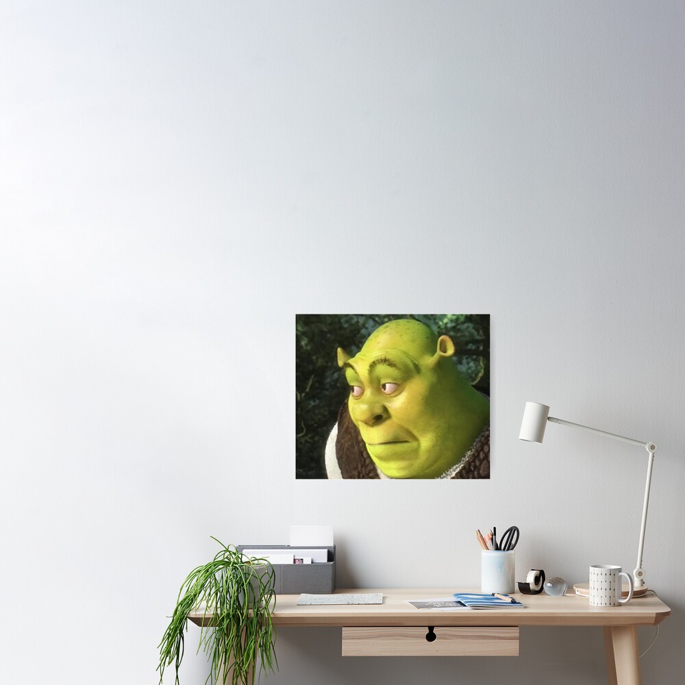 Shrek meme Photographic Print for Sale by Doflamingo99