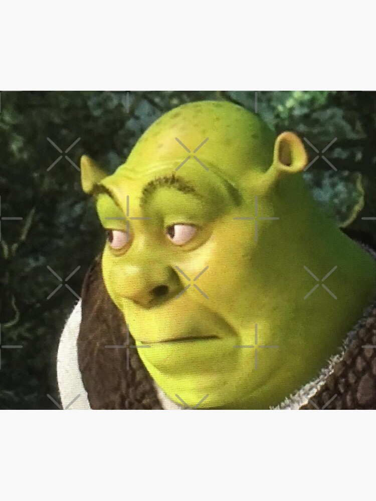 Shrek Meme Discover more interesting Bored Shrek, Funny Shrek, Mike  Wazowski, Shrek memes.