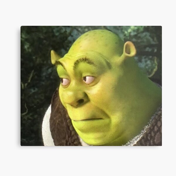 Shrek Meme Face Discover more interesting Cartoon, Confused, Face, Green  Giant memes.