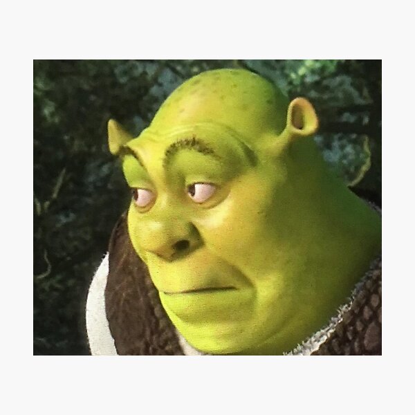 Shrek Meme Photographic Prints for Sale