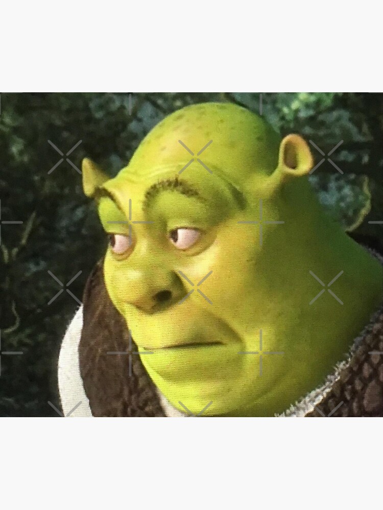 Little Shrek Meme Beanie Hedging Cap DIY Print Cushion Shrek Meme Png Shrek  Face Shrek Meme Face Shrek Png Shrek Wazowski - AliExpress