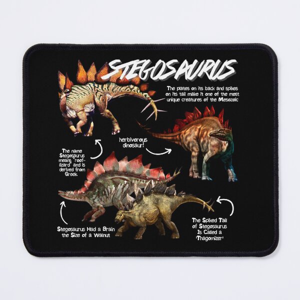 Artikelvorschau, Stegosaurus Fun Facts entworfen und verkauft von KyleNesas.