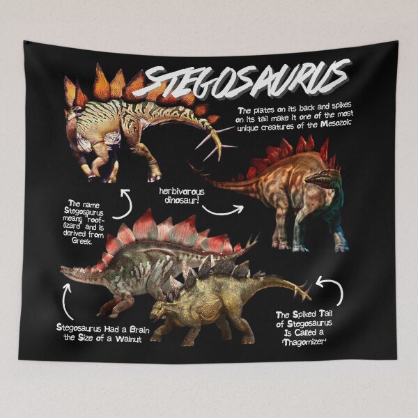 Artikelvorschau, Stegosaurus Fun Facts entworfen und verkauft von KyleNesas.