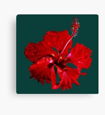 Hibiscus Pattern Canvas Print