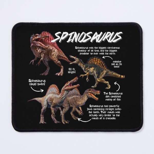 Item preview, Spinosaurus Fun Facts designed and sold by KyleNesas.
