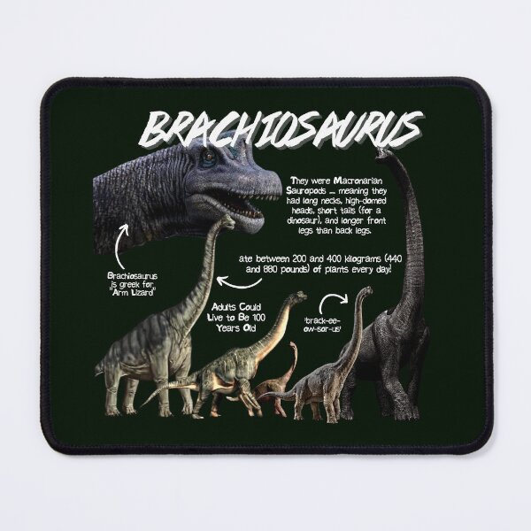 Artikelvorschau, Brachiosaurus Fun Facts entworfen und verkauft von KyleNesas.