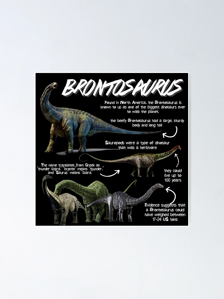 What Is Brontosaurus