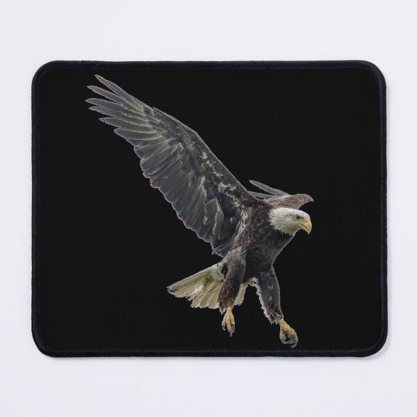 Item preview, Bald eagle designed and sold by The Sleepy Monito.