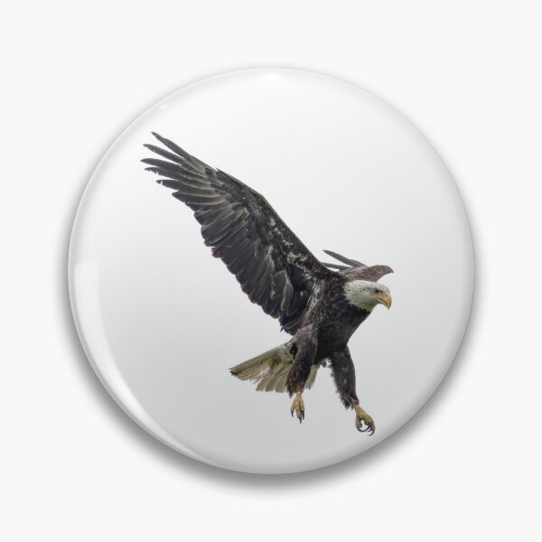 Item preview, Bald eagle designed and sold by The Sleepy Monito.