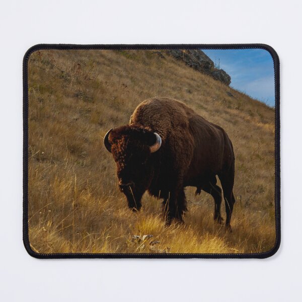 Item preview, Bison Bull on Red Sleep Mountain designed and sold by Bryan Spellman.