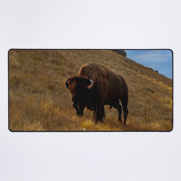 Item preview, Bison Bull on Red Sleep Mountain designed and sold by Bryan Spellman.