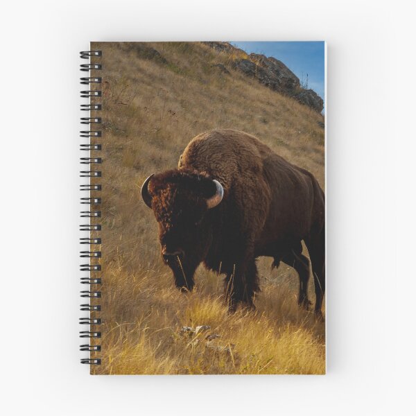 Item preview, Bison Bull on Red Sleep Mountain designed and sold by Bryan Spellman.