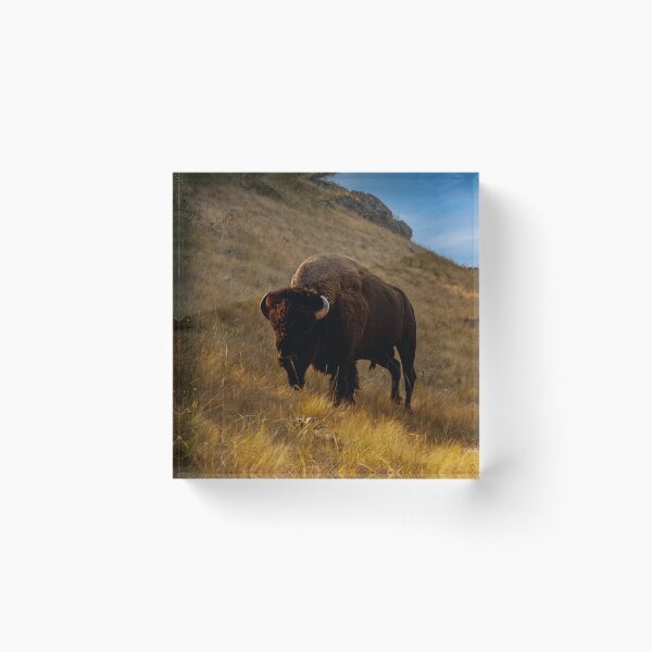 Item preview, Bison Bull on Red Sleep Mountain designed and sold by Bryan Spellman.
