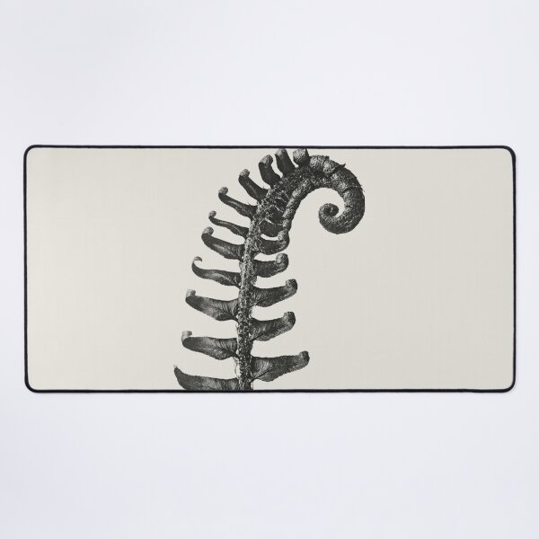Item preview, Prickly Shield Fern Vintage Botanical Print by Karl Blossfeldt designed and sold by Pretty  Pixel.