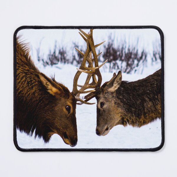 Item preview,   Panoramic, Moose canvas, Moose, animal, animals, Moose wall art, Moose artwork, wild, Moose art, Moose painting designed and sold by eyesight4vision.