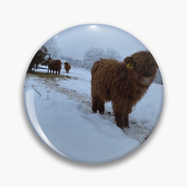 Item preview, Scottish Highland Cattle Calf 4202 designed and sold by SaarelaHighland.