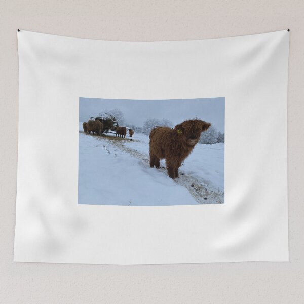 Item preview, Scottish Highland Cattle Calf 4202 designed and sold by SaarelaHighland.
