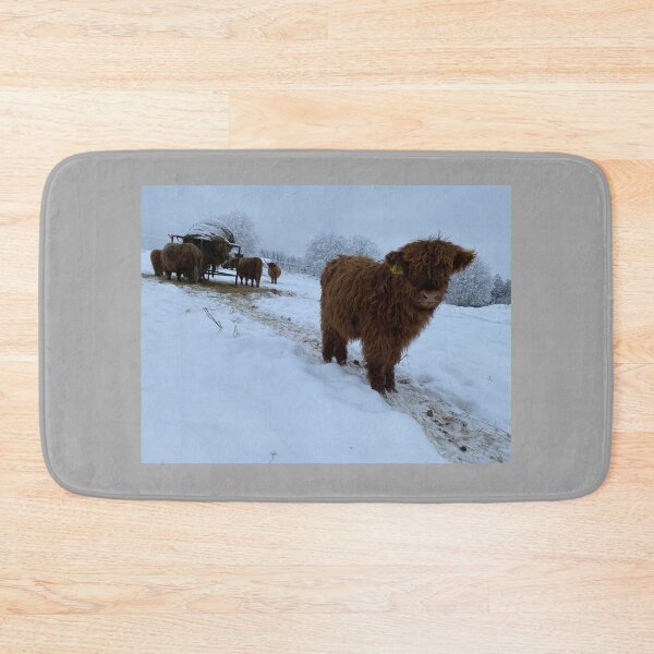 Item preview, Scottish Highland Cattle Calf 4202 designed and sold by SaarelaHighland.