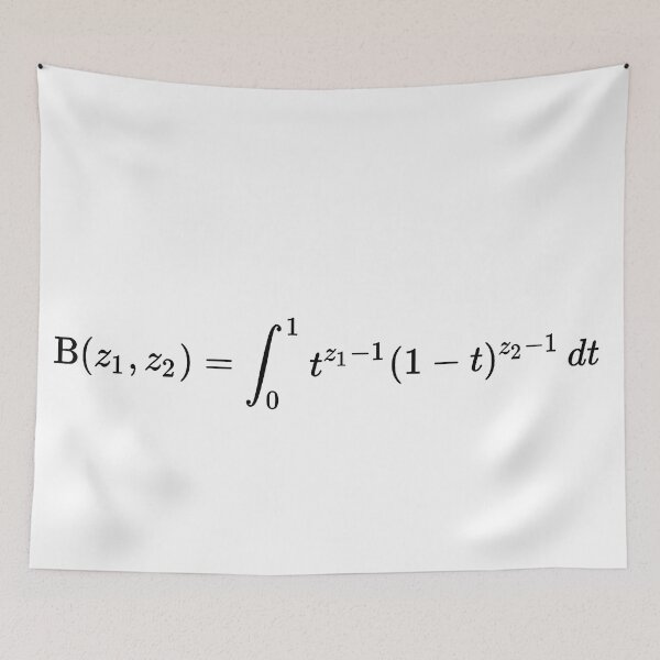 Item preview, Euler beta Function, calculus and math designed and sold by NoetherSym.
