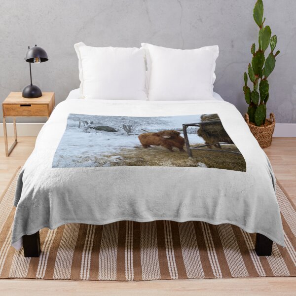 Item preview, Scottish Highland Cattle Cow 4203 designed and sold by SaarelaHighland.