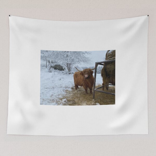 Item preview, Scottish Highland Cattle Cow 4203 designed and sold by SaarelaHighland.