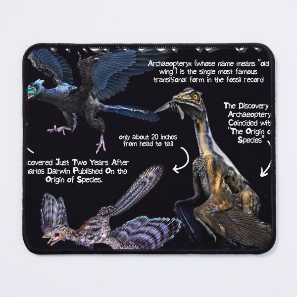 Artikelvorschau, Archaeopteryx Fun Facts entworfen und verkauft von KyleNesas.