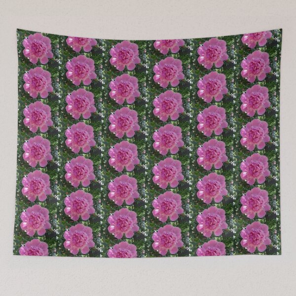 Item preview, Beautiful pink peony designed and sold by Shulie1.