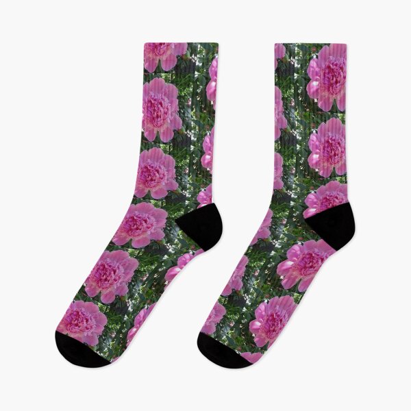 Item preview, Beautiful pink peony designed and sold by Shulie1.