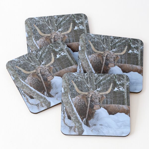 Item preview, Scottish Highland Cattle Cow 4205 designed and sold by SaarelaHighland.