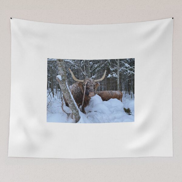 Item preview, Scottish Highland Cattle Cow 4205 designed and sold by SaarelaHighland.