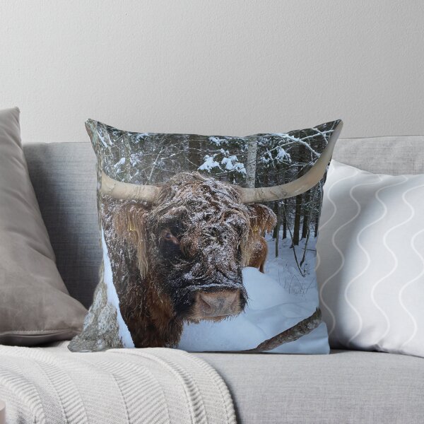 Item preview, Scottish Highland Cattle Cow 4206 designed and sold by SaarelaHighland.