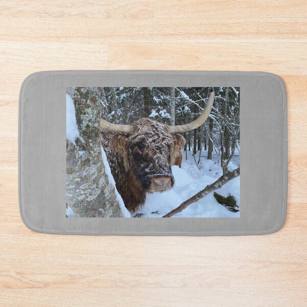 Item preview, Scottish Highland Cattle Cow 4206 designed and sold by SaarelaHighland.