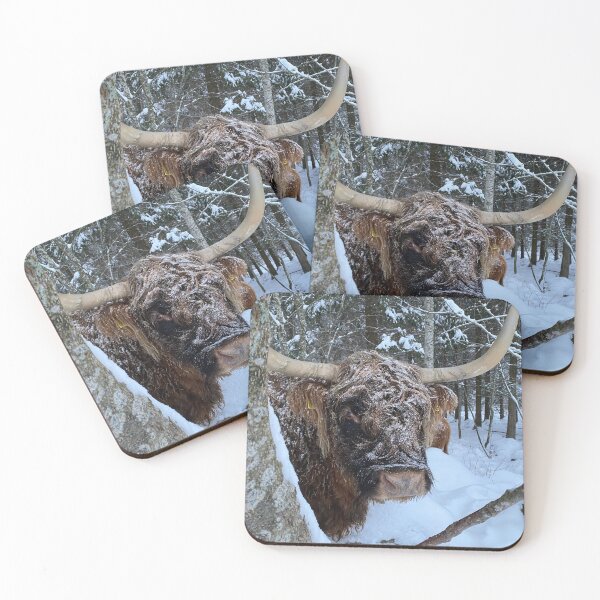 Item preview, Scottish Highland Cattle Cow 4206 designed and sold by SaarelaHighland.
