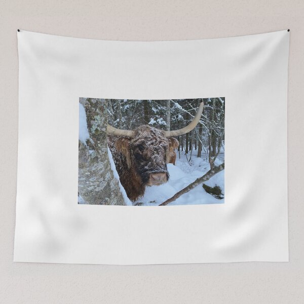 Item preview, Scottish Highland Cattle Cow 4206 designed and sold by SaarelaHighland.