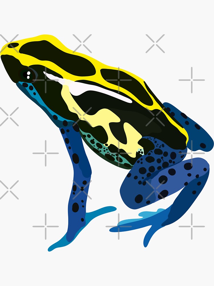 "D is for Dyeing Dart Frog " Sticker for Sale by thezoogirl Redbubble