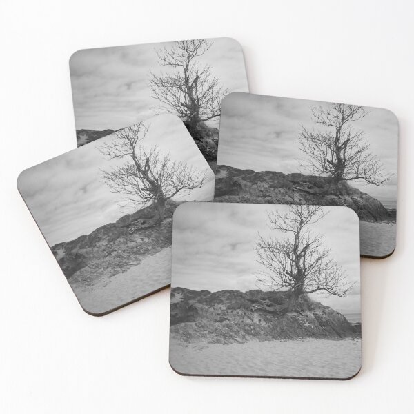 Item preview, Bare tree in beach rock county mayo black and white designed and sold by eddiebarronshop.