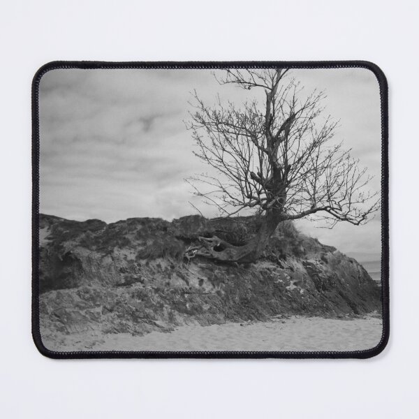Item preview, Bare tree in beach rock county mayo black and white designed and sold by eddiebarronshop.