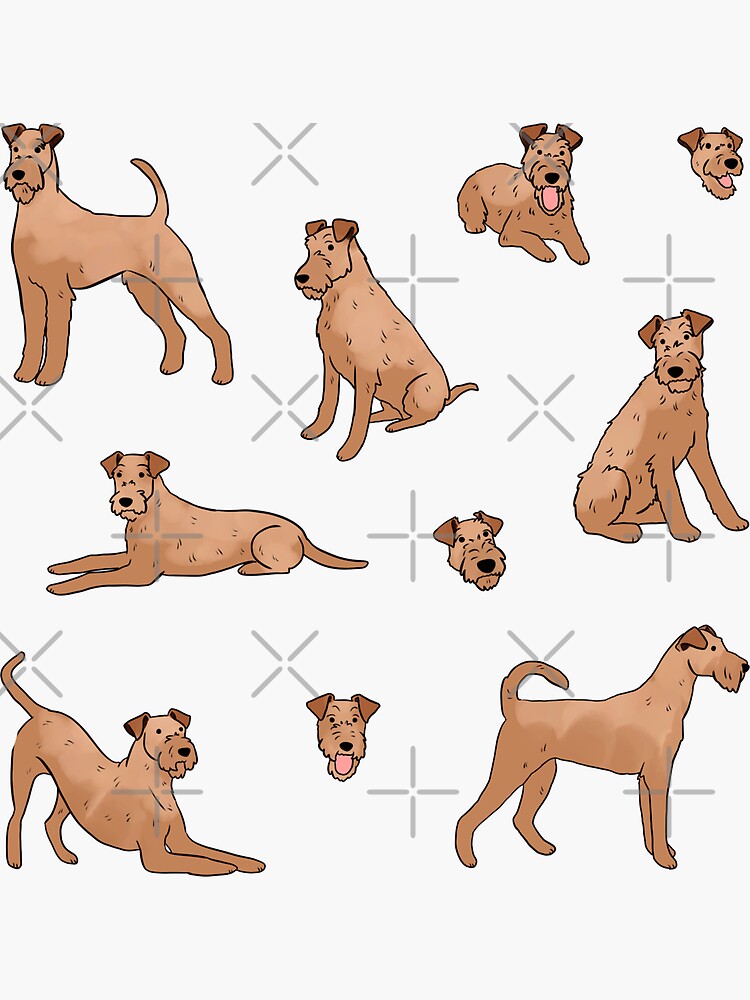 Irish terrier cute illustration pattern 