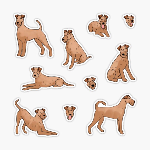 psaマガジン super stickers irish terrier st,large,507x507-pad,600x600,
