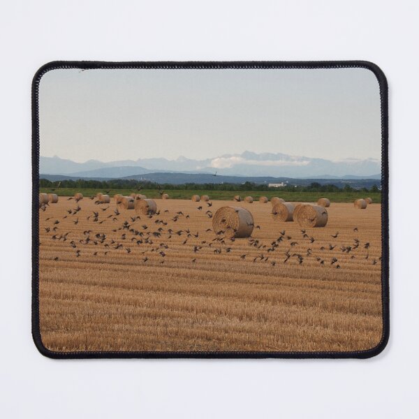 Item preview, Hay Bales with Birds in Flight designed and sold by jojobob.