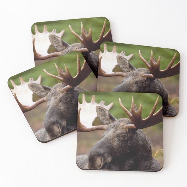 Item preview,  Panoramic, Moose canvas, Moose, animal, animals, Moose wall art, Moose artwork, wild, Moose art, Moose painting designed and sold by eyesight4vision.
