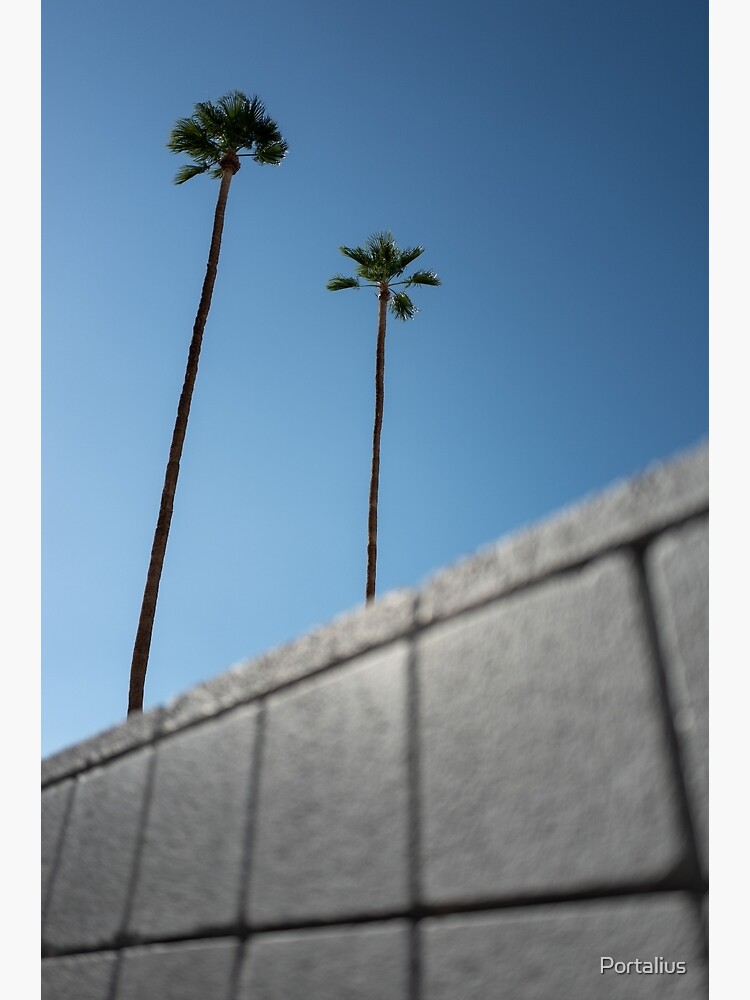 Thumbnail 3 von 3, Fotodruck, Palm Springs Palmen designt und verkauft von Portalius.