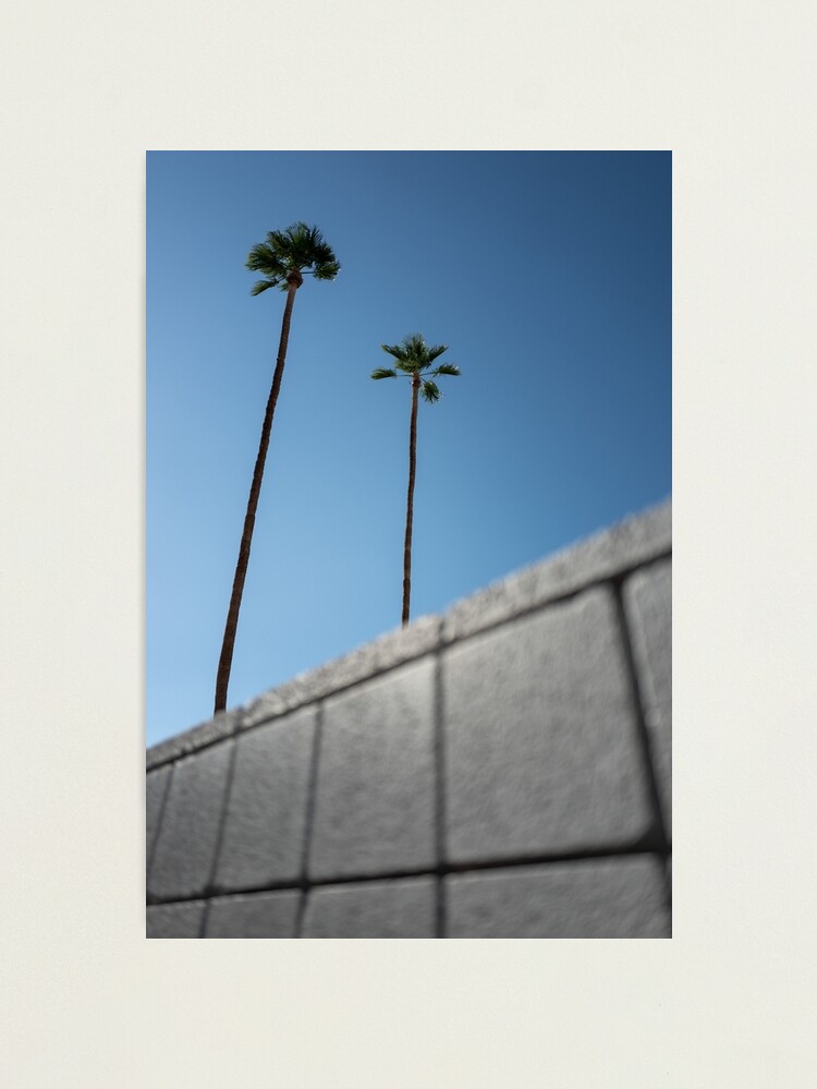 Thumbnail 1 von 3, Fotodruck, Palm Springs Palmen designt und verkauft von Portalius.
