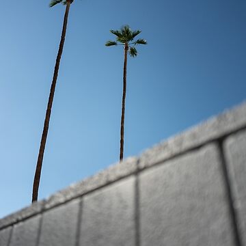 Vorschaubild zum Design Palm Springs Palmen von Portalius