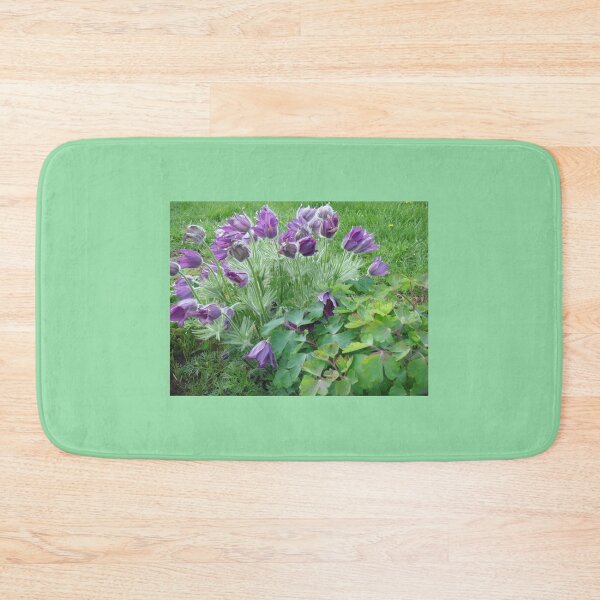 Item preview, Pasqueflower in spring // designed and sold by Lillrose.