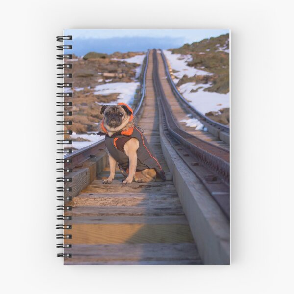 Item preview, Pug Waits For the Train designed and sold by pugventurephoto.