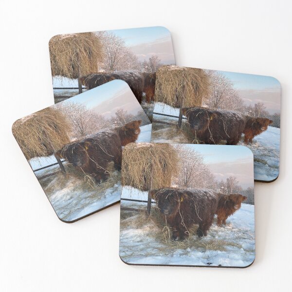 Item preview, Scottish Highland Cattle Calves 4213 designed and sold by SaarelaHighland.