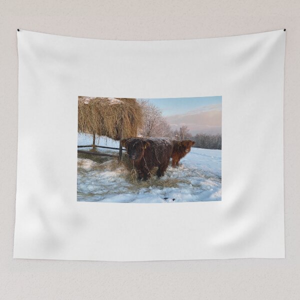 Item preview, Scottish Highland Cattle Calves 4213 designed and sold by SaarelaHighland.