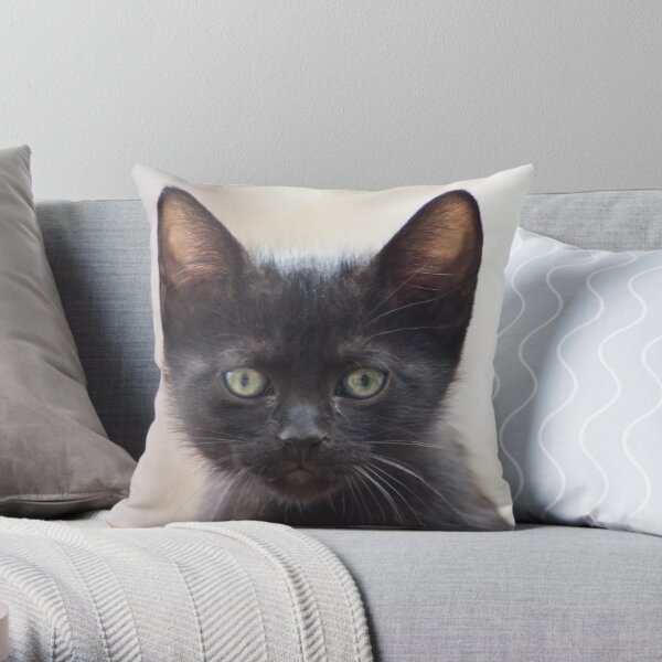 black kitten portrait Throw Pillow
